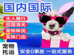 澜沧景迈空运代理国际宠物托运 【国